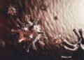 apoptose